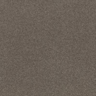 Shaw Floors Simply The Best Solidify III 12 Net Pewter 00701_5E340
