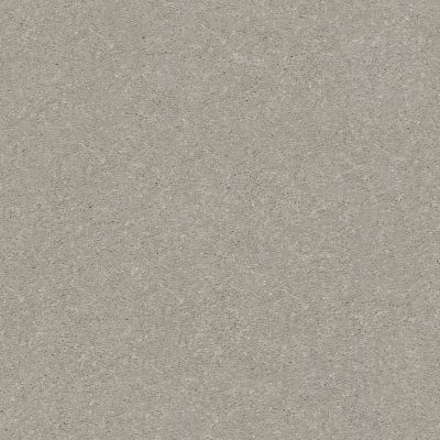 Shaw Floors Value Collections Solidify II 15 Net Greige 00106_5E344