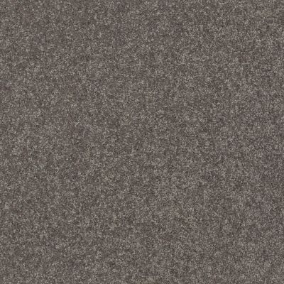 Shaw Floors Value Collections Solidify III 15 Net Pewter 00701_5E345