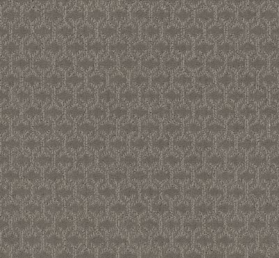 Shaw Floors Value Collections Valid Net Iced Mocha 00505_5E347