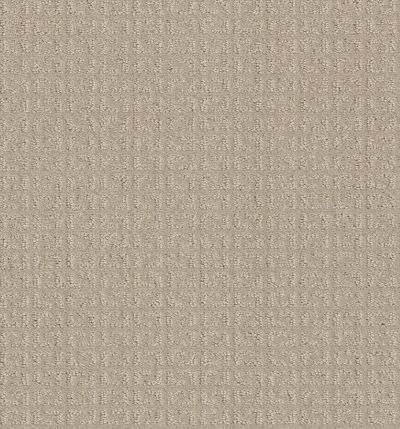 Shaw Floors Simply The Best Transform Net Biscuit 00107_5E351