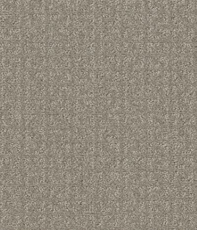 Shaw Floors Simply The Best Transform Net Fossil 00505_5E351