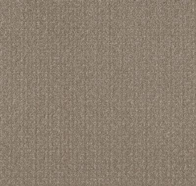 Shaw Floors Value Collections Transform Net Simply Tan 00704_5E351