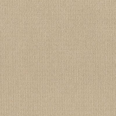 Shaw Floors Simply The Best Translate Net Candle Glow 00200_5E352