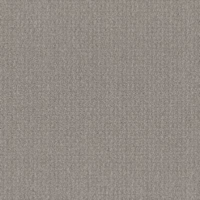 Shaw Floors Simply The Best Translate Net Steel Beam 00504_5E352