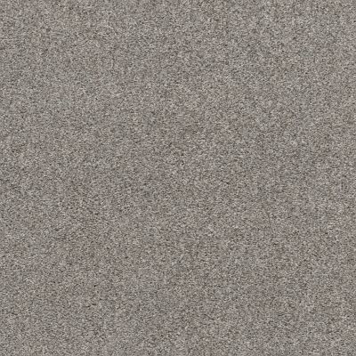 Shaw Floors Bellera Calm Serenity I Net Split Sediment 00104_5E353