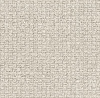 Shaw Floors Pet Perfect Plus Soothing Surround Net Washed Linen 00103_5E358