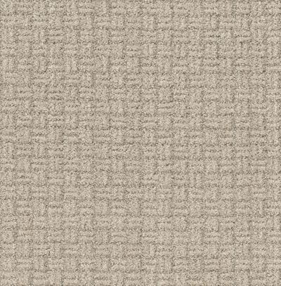 Shaw Floors Pet Perfect Plus Soothing Surround Net Butter Cream 00107_5E358
