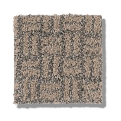 Shaw Floors Pet Perfect Plus Soothing Surround Net Beige Bisque 00110_5E358