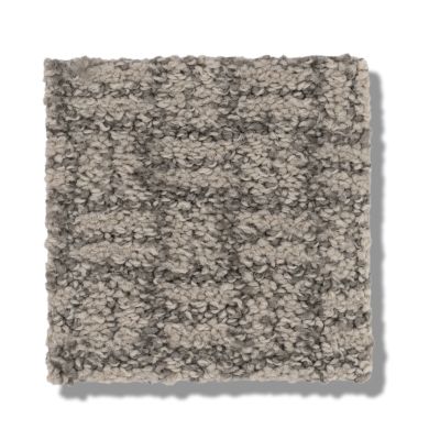Shaw Floors Pet Perfect Plus Soothing Surround Net Newstone Haven 00502_5E358