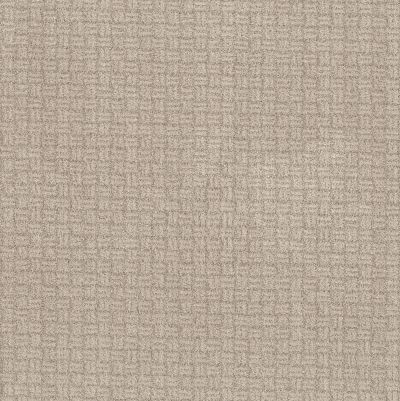 Shaw Floors Pet Perfect Plus Soothing Surround Net Desert View 00701_5E358