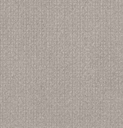 Shaw Floors Pet Perfect Plus Secret Passage Net Washed Linen 00103_5E360