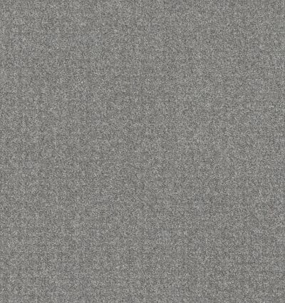 Shaw Floors Pet Perfect Plus Secret Passage Net Harbor Dock 00503_5E360