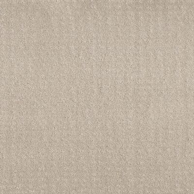 Shaw Floors Foundations Chic Nuance Net Washed Linen 00103_5E362