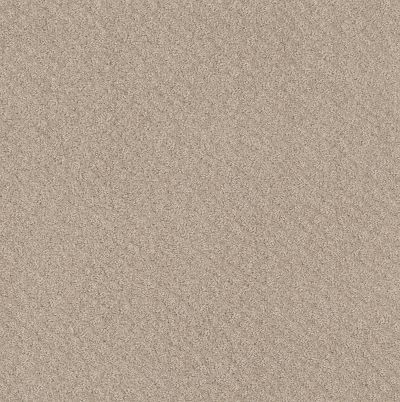 Shaw Floors Foundations Chic Shades Net Butter Cream 00107_5E363
