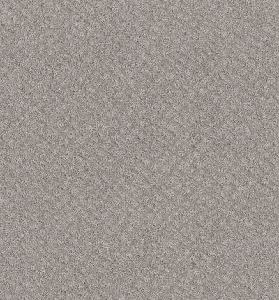 Shaw Floors Foundations Chic Shades Net Silver Lining 00500_5E363