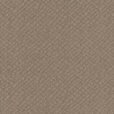 Shaw Floors Foundations Chic Shades Net Desert View 00701_5E363