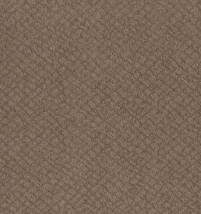 Shaw Floors Foundations Chic Shades Net Raw Wood 00720_5E363