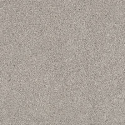 Shaw Floors Caress By Shaw Cozy Harbor II Net Baltic Stone 00128_5E365