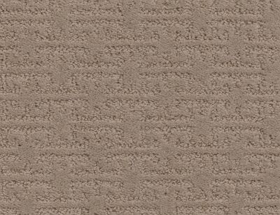 Shaw Floors Value Collections Zenhaven Net Tumbleweed 00749_5E366