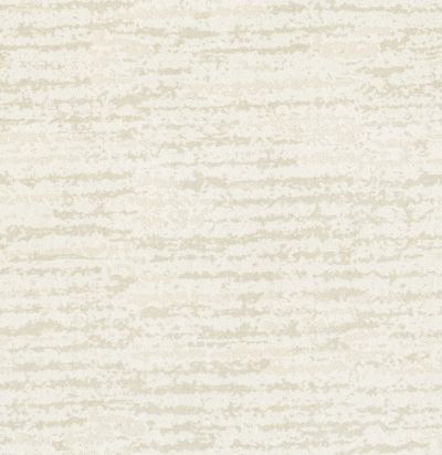 Shaw Floors Value Collections Winter Solace Net Candle Light 00122_5E369