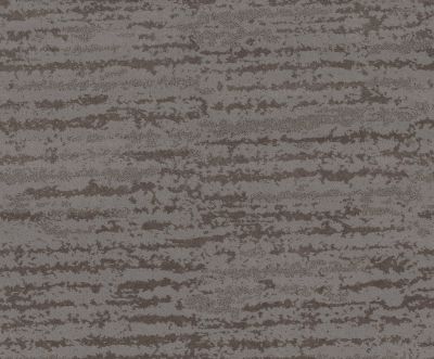 Shaw Floors Value Collections Winter Solace Net Grounded Gray 00536_5E369