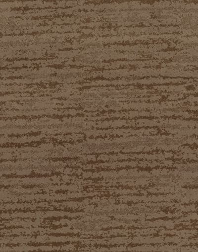 Shaw Floors Value Collections Winter Solace Net Raw Wood 00720_5E369