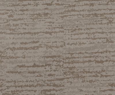 Shaw Floors Value Collections Winter Solace Net Stucco 00724_5E369
