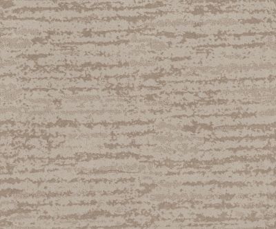 Shaw Floors Value Collections Winter Solace Net Sandstone 00743_5E369