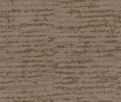 Shaw Floors Value Collections Winter Solace Net Tumbleweed 00749_5E369