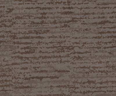 Shaw Floors Value Collections Winter Solace Net Ridgeview 00751_5E369