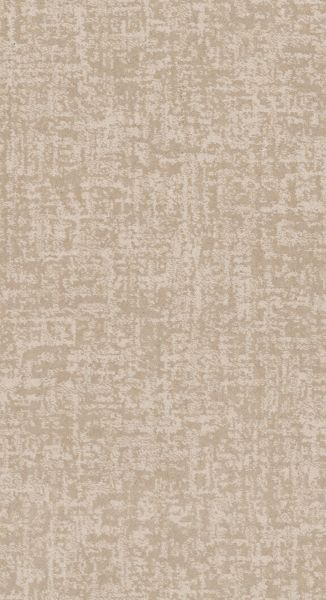 Shaw Floors Caress By Shaw Fine Structure Net Delicate Cream 00156_5E370
