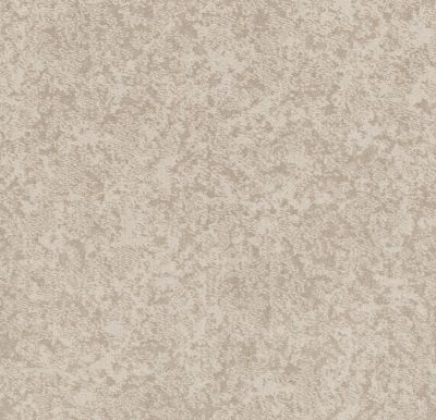 Shaw Floors Caress By Shaw State Of Mind Net Delicate Cream 00156_5E373
