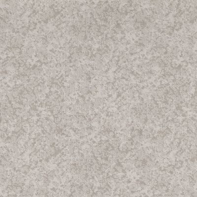 Shaw Floors Caress By Shaw State Of Mind Net Minimal 00514_5E373
