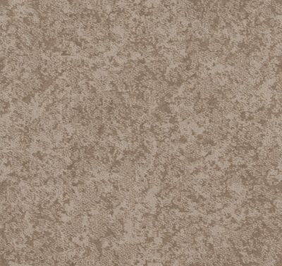 Shaw Floors Caress By Shaw State Of Mind Net Sandstone 00743_5E373