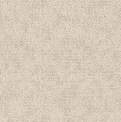 Shaw Floors Caress By Shaw Artistic Presence Net Delicate Cream 00156_5E374