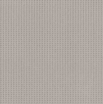 Shaw Floors Caress By Shaw Soft Symmetry Net Cold Winter 00126_5E378