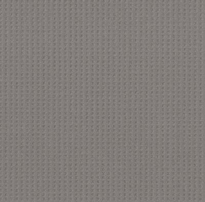 Shaw Floors Caress By Shaw Soft Symmetry Net Grounded Gray 00536_5E378