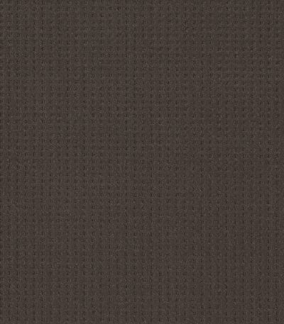 Shaw Floors Caress By Shaw Soft Symmetry Net Burma Brown 00752_5E378