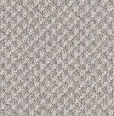 Shaw Floors Value Collections Inspired Design Net Cold Winter 00126_5E379