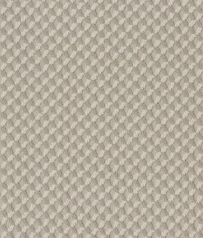 Shaw Floors Caress By Shaw Inspired Design Net Sandstone 00743_5E379