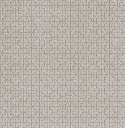 Shaw Floors Value Collections Serene Key Net Baltic Stone 00128_5E380