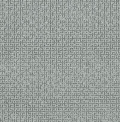 Shaw Floors Value Collections Serene Key Net Waters Edge 00307_5E380