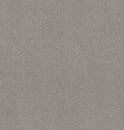 Shaw Floors Value Collections Vintage Revival Net Grounded Gray 00536_5E381