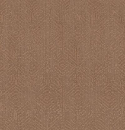 Shaw Floors Caress By Shaw Vintage Revival Net Sunbaked 00650_5E381