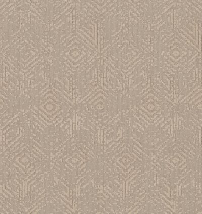 Shaw Floors Value Collections Vintage Revival Net Natural Beauty 00721_5E381