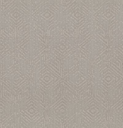 Shaw Floors Value Collections Vintage Revival Net Stucco 00724_5E381