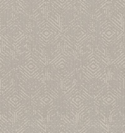 Shaw Floors Caress By Shaw Vintage Revival Net Sandstone 00743_5E381