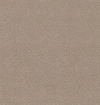 Shaw Floors Value Collections Vintage Revival Net Tumbleweed 00749_5E381