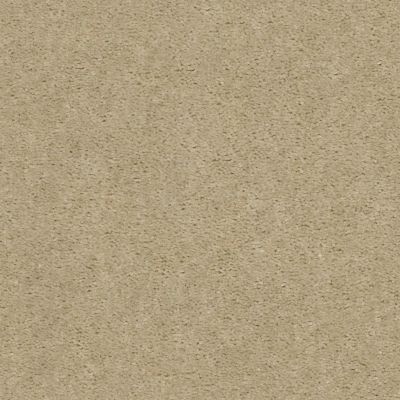 Shaw Floors Value Collections Heroic Net Spanish Sand 00106_5E386